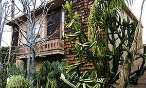 A house with a balcony and a tree in front.
