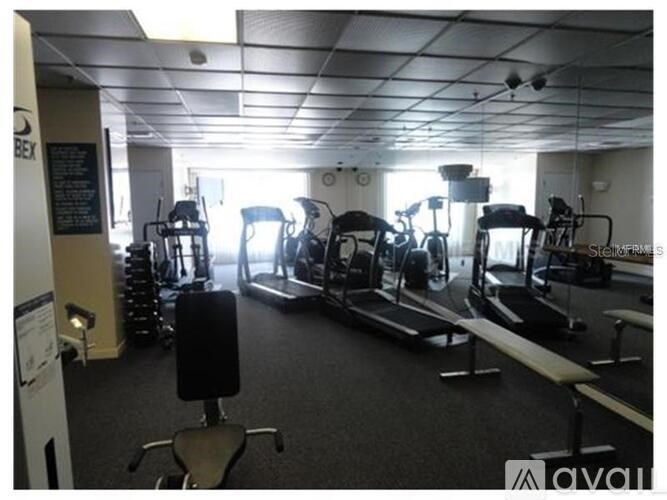 A gym with treadmills, exercise bikes, and other equipment.