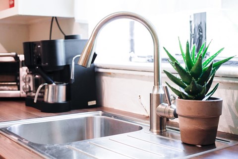 A kitchen sink with a potted plant on it.