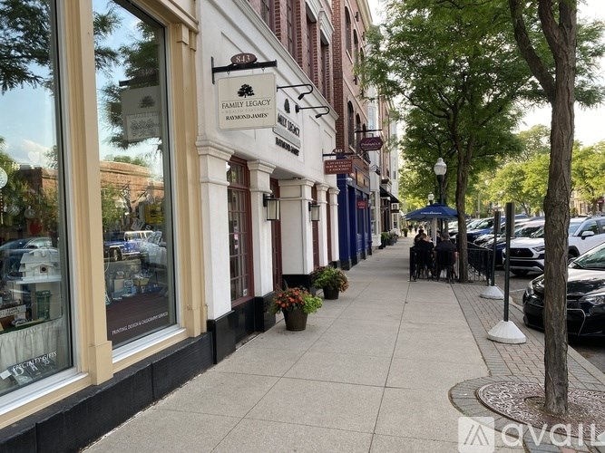 A sidewalk runs down the middle of a tree-lined street.