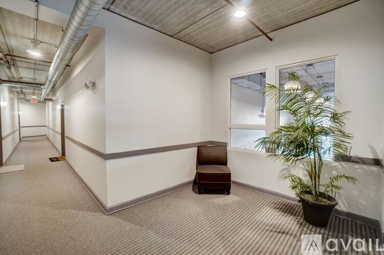A room with a brown chair and a potted plant.
