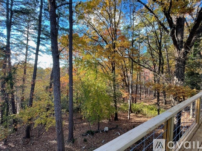 A forest of trees with a railing in the foreground.