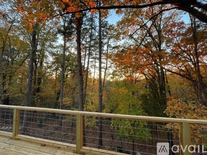 A forest with a fence in the foreground.