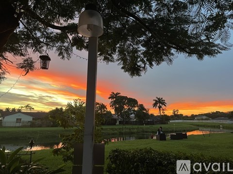 A streetlight stands in front of a tree with a sunset in the background.