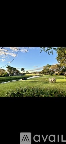 A deer is standing in a grassy field with trees in the background.