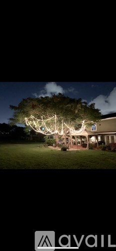 A house is illuminated by white lights at night.