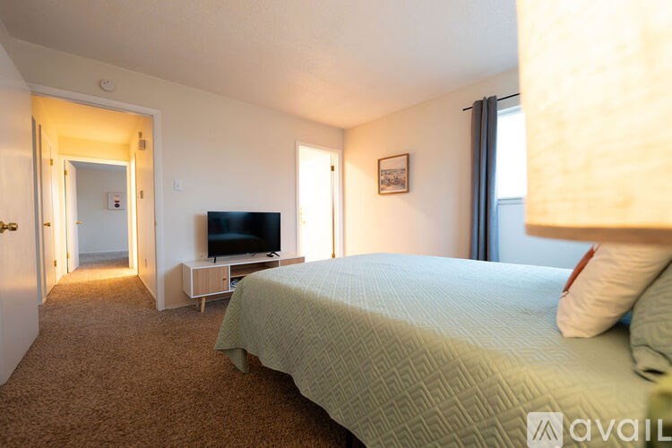 A bedroom with a bed, a television, and a carpeted floor.