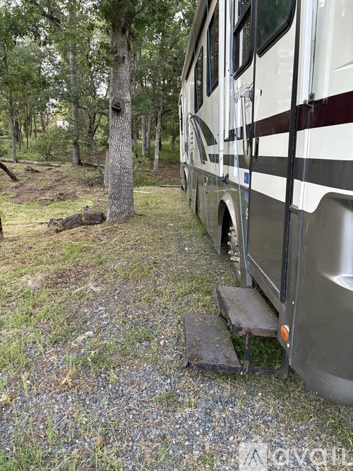 A silver RV is parked next to a tree in a wooded area.