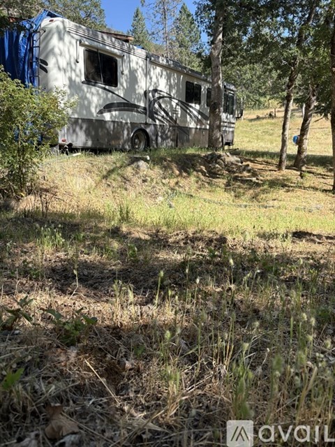 A silver RV is parked next to a tree in a wooded area.