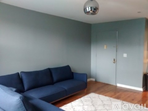 205 Knickerbocker Avenue 1 Bed Apartment for Rent