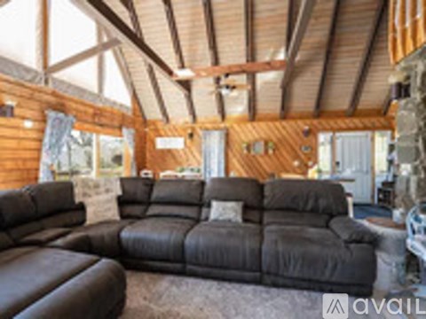 A living room with a couch and a chair.
