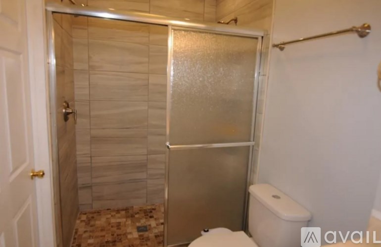 A bathroom with a walk-in shower and toilet.