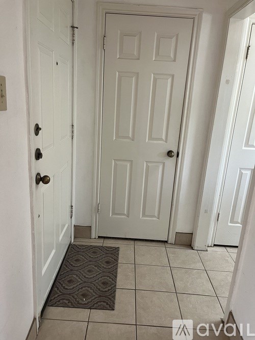 A hallway with a white door and a brown mat on the floor.