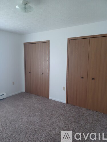 Two brown doors in a room with carpeted floor.