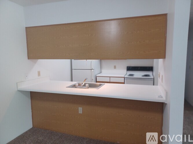 A kitchen area with a sink and a counter.
