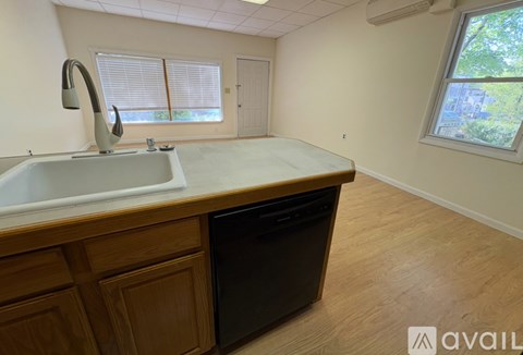 A kitchen with a sink and a window.