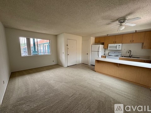 A spacious living area with a kitchenette and a window.