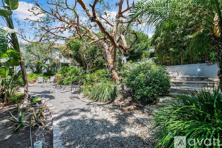 A garden with a variety of plants and trees.