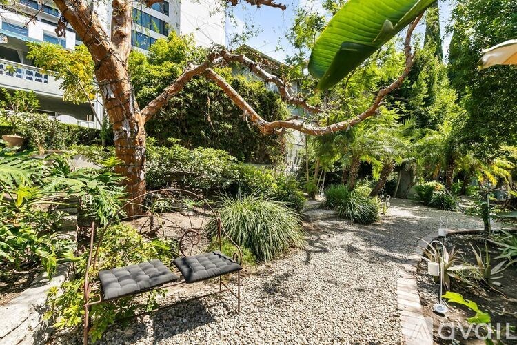 A garden with a bench and a gravel path.