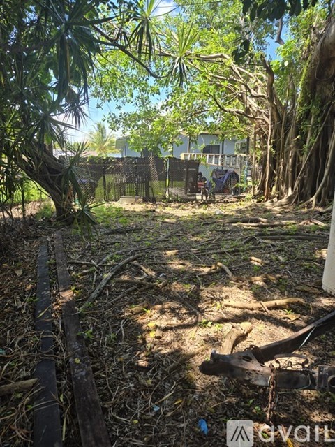 A backyard with a fence and trees.