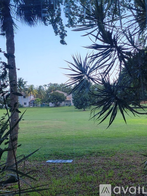 A palm tree is in the foreground of a grassy field.
