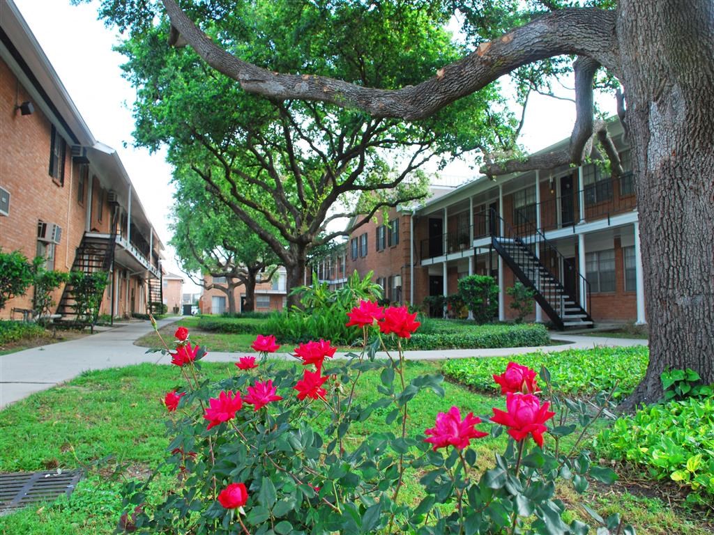 a group of red flowers in front of a building