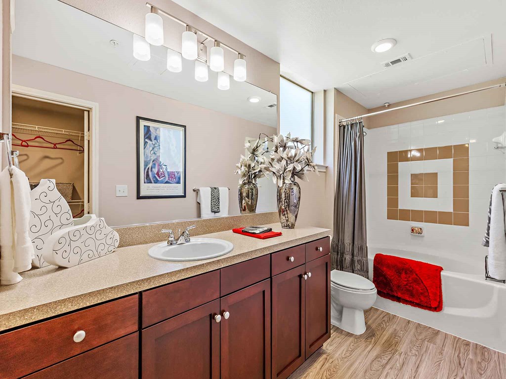 a bathroom with a sink and a toilet