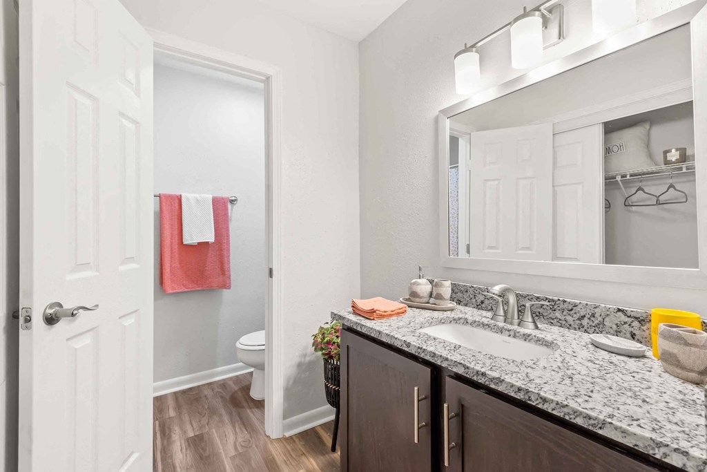 a bathroom with a sink and a mirror and a toilet