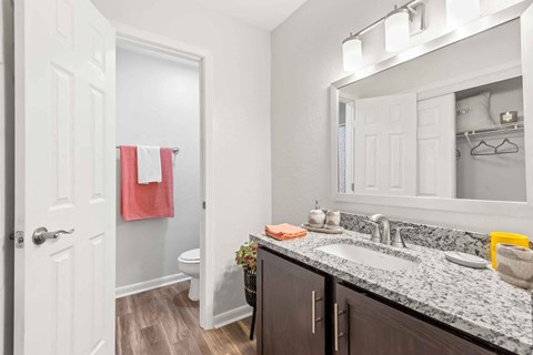 a bathroom with a sink and a mirror and a toilet