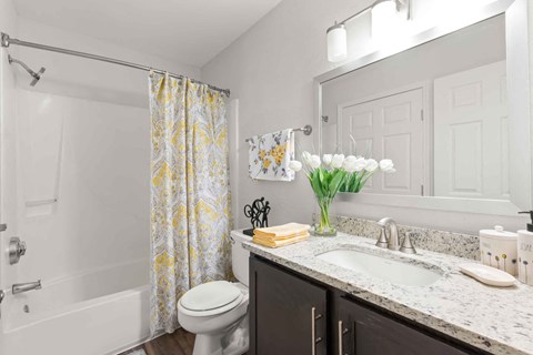 a bathroom with a sink and a toilet and a shower