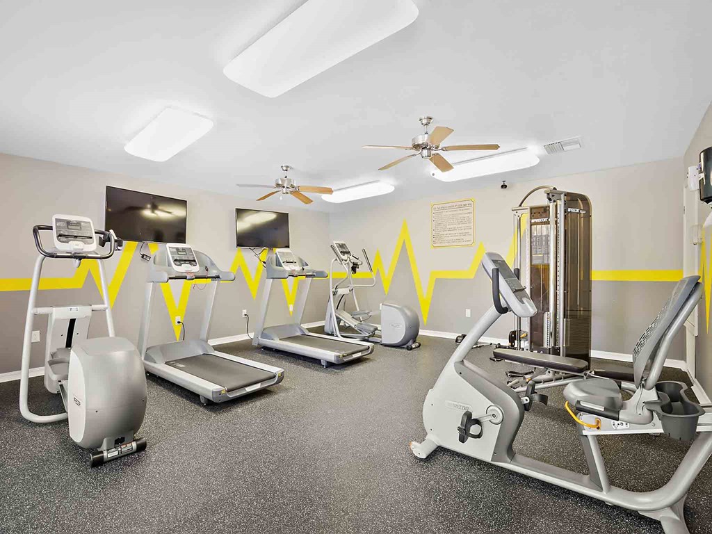 a gym with cardio equipment and weights on the floor