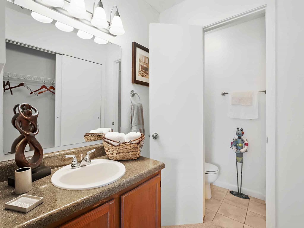 a bathroom with a sink and a mirror and a toilet