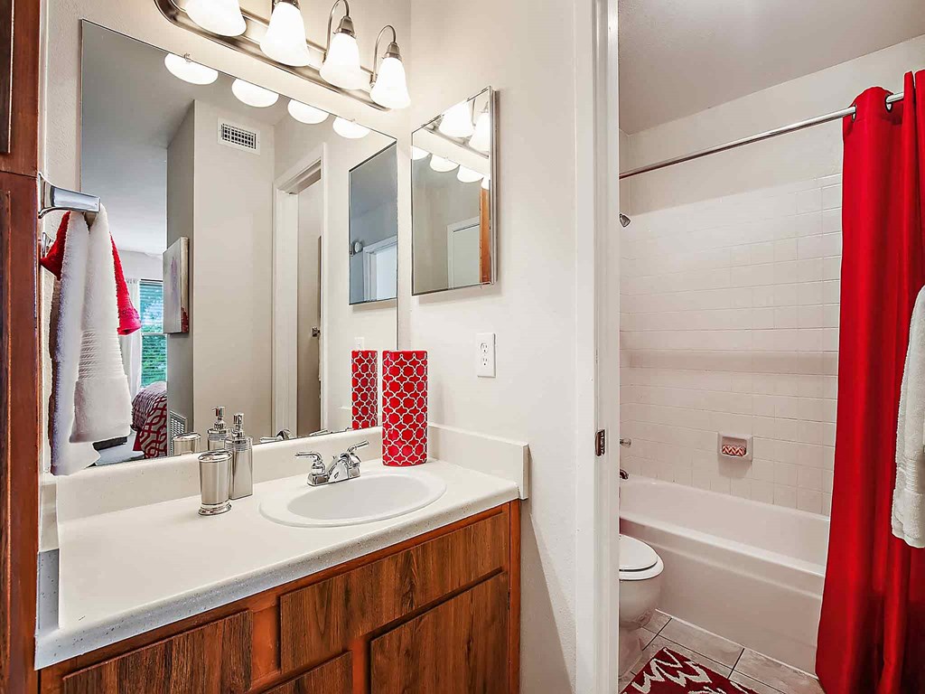 a bathroom with a sink and a mirror