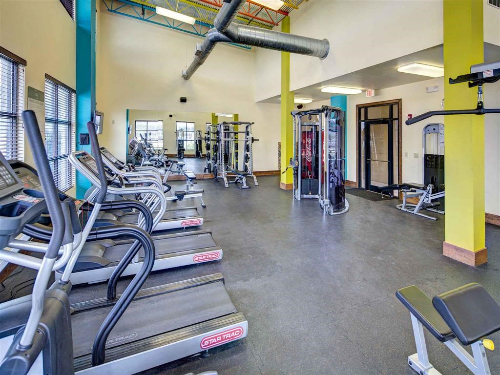 a gym with cardio equipment and weights in a building
