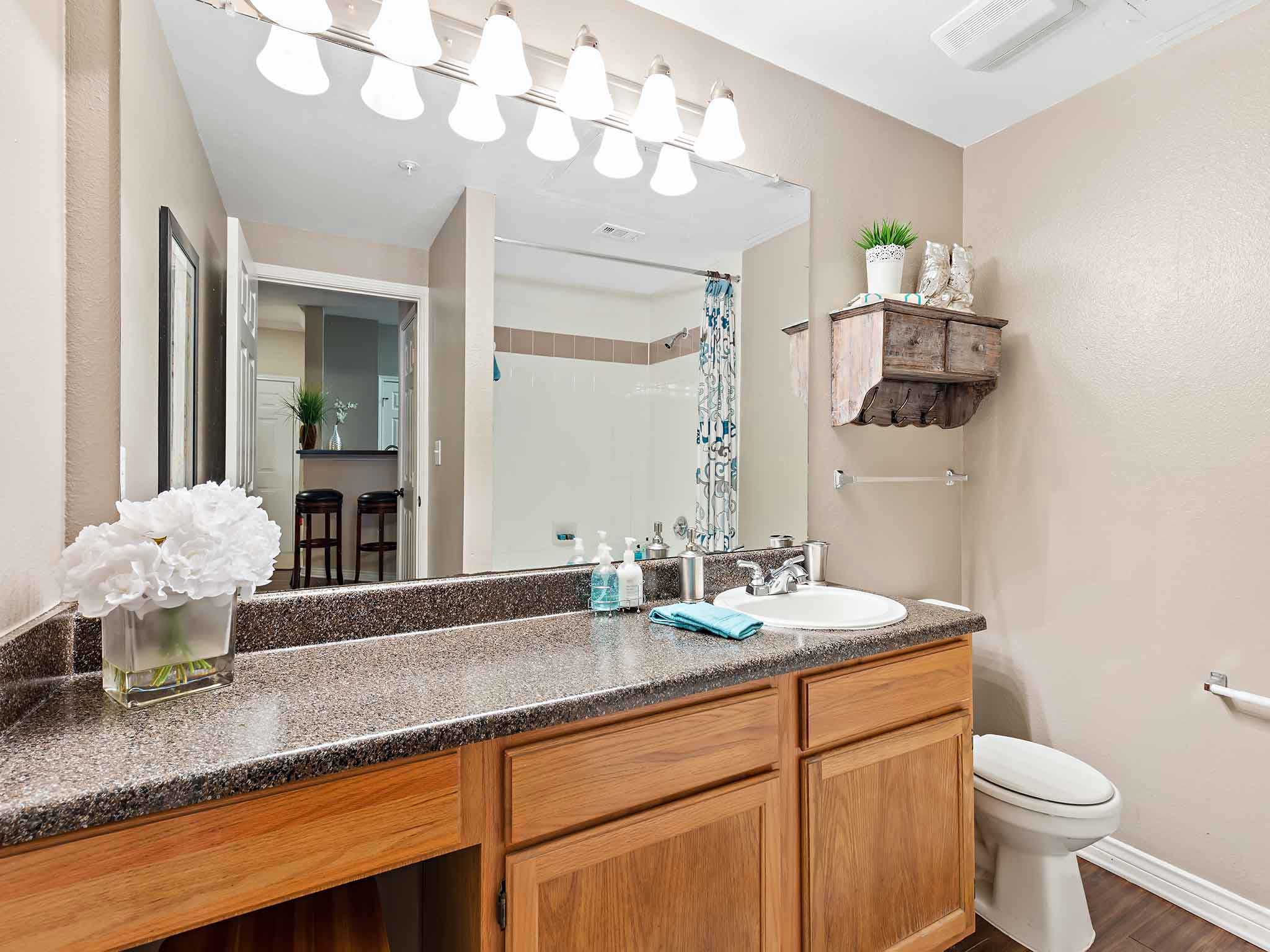 a bathroom with a sink and a toilet and a mirror