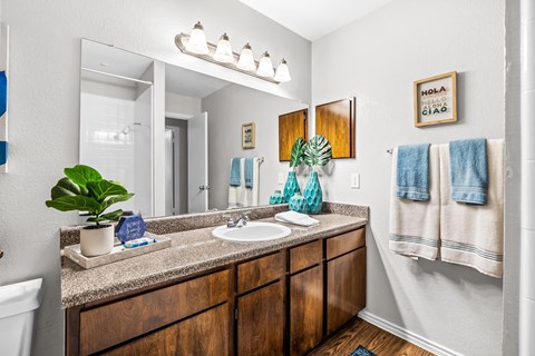 a bathroom with a sink and a mirror