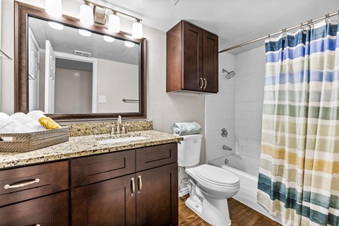 a bathroom with a sink toilet and a mirror
