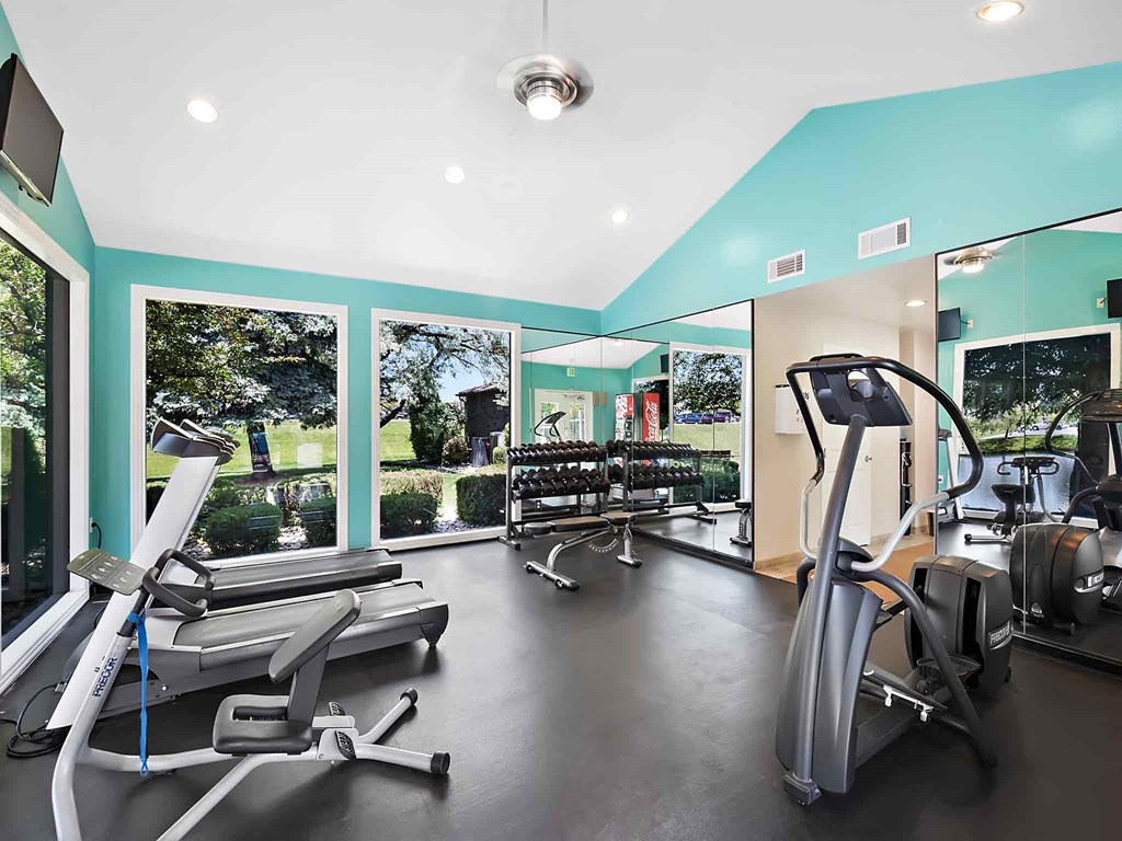 a gym with cardio equipment and views of the yard