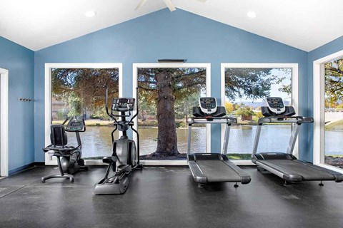 A home gym with a treadmill, elliptical trainer, and stationary bike.