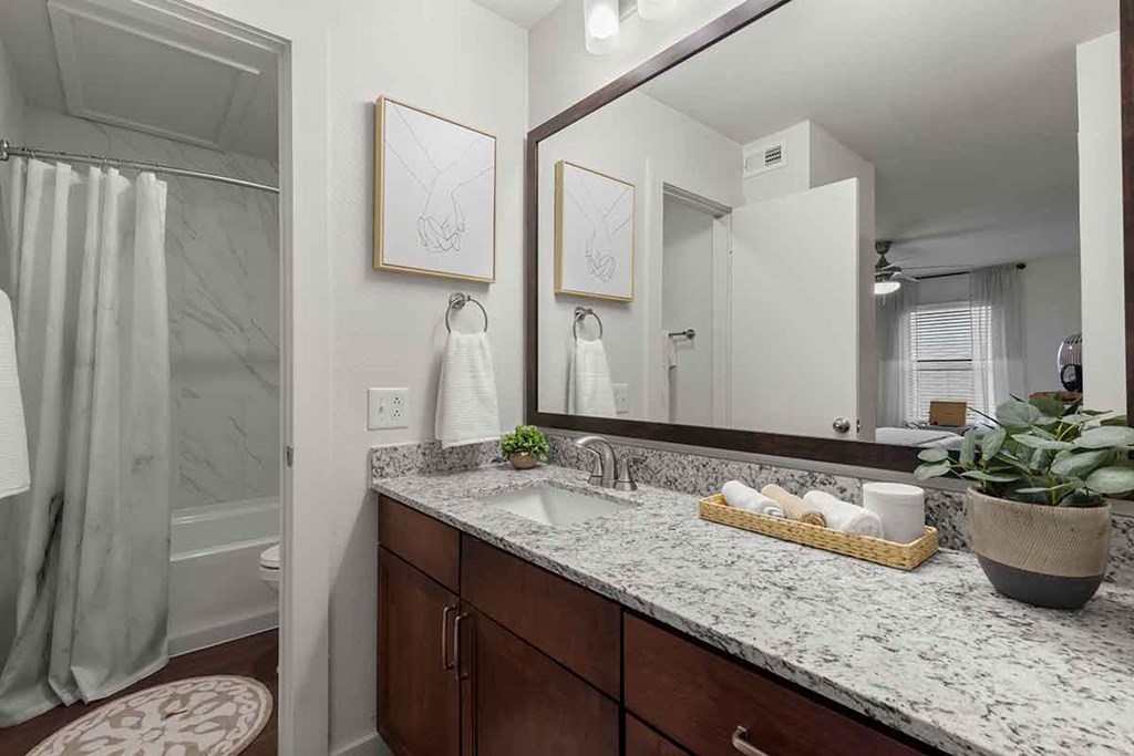 a bathroom with a sink and a mirror