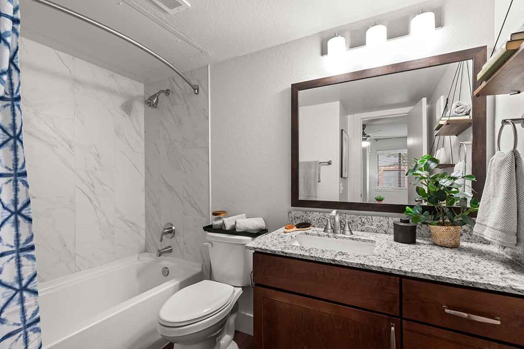 a bathroom with a sink toilet and a mirror