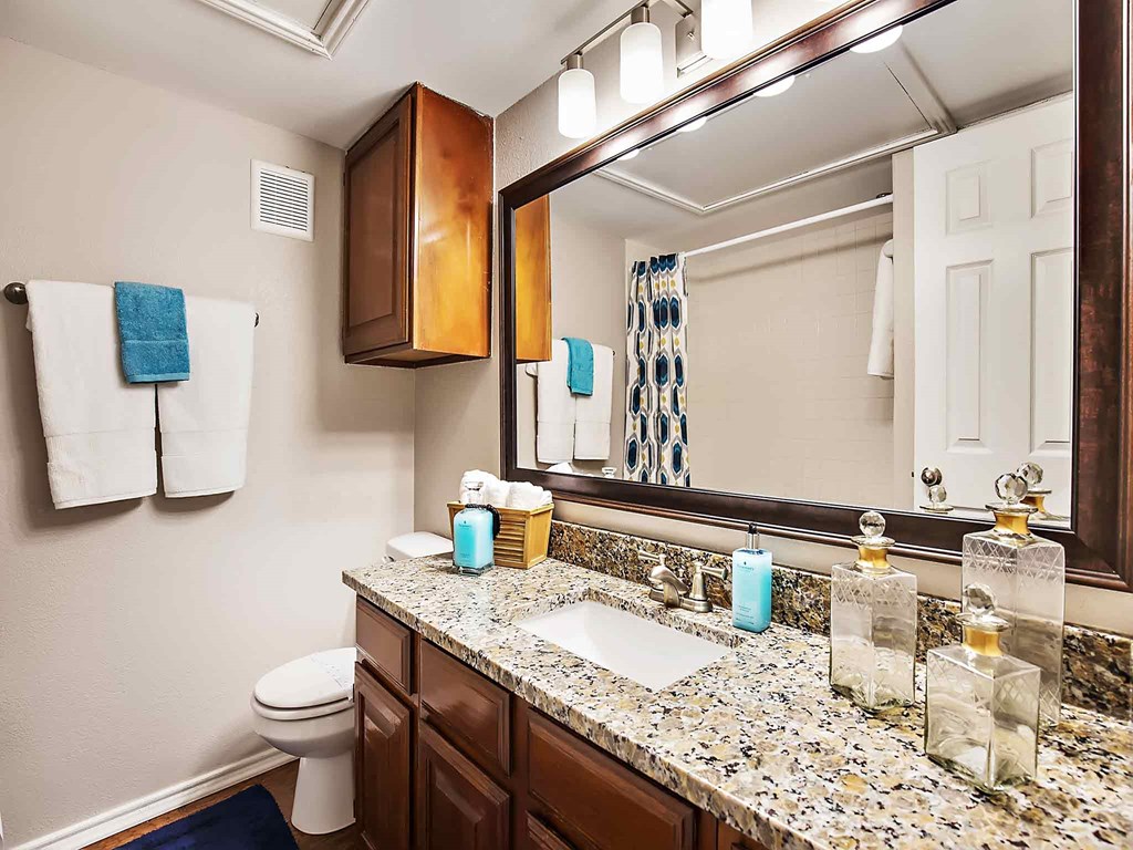 a bathroom with a sink and a mirror and a toilet