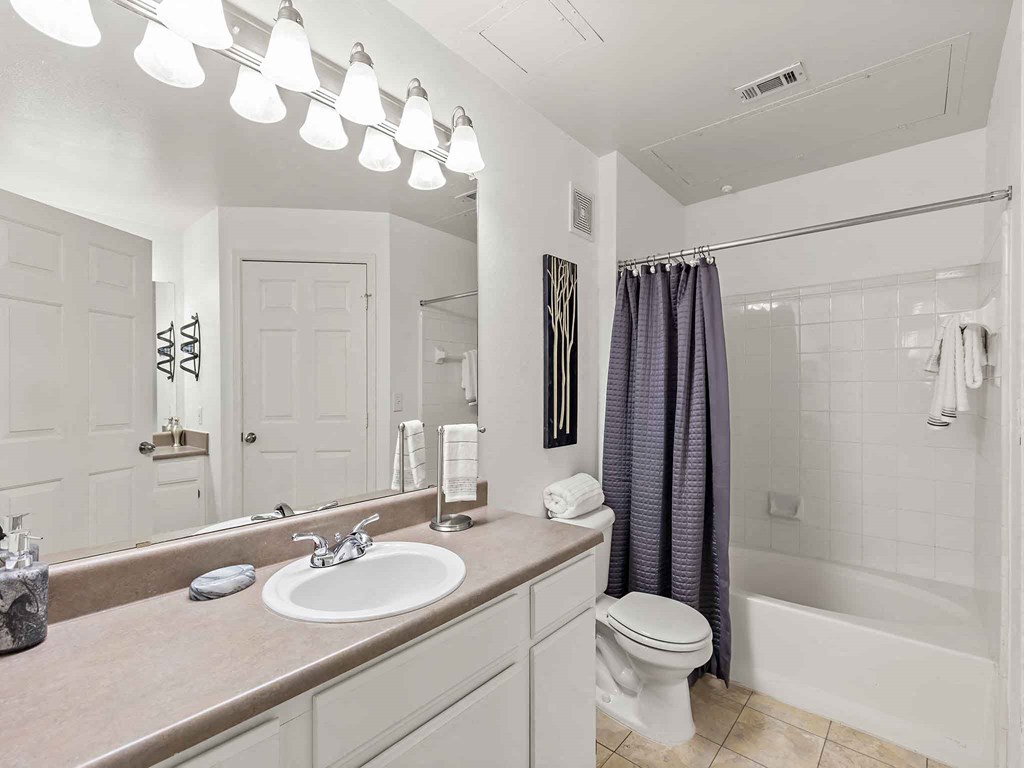 a bathroom with a sink and a toilet and a shower