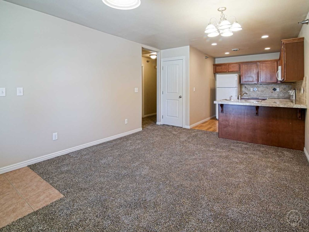 a kitchen and living room with a carpeted floor