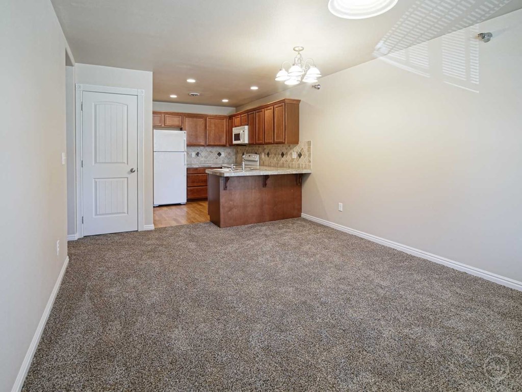 a kitchen and a living room with a carpeted floor