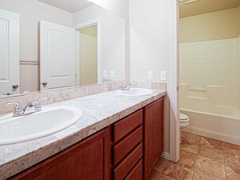 a bathroom with two sinks and a mirror