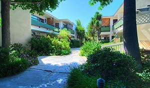 A pathway surrounded by greenery leads to a building.
