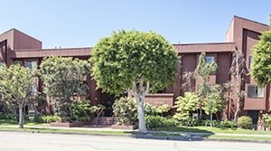A tree in front of a building with a red brick wall.