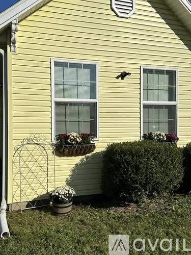 A yellow house with a window and a hedge.