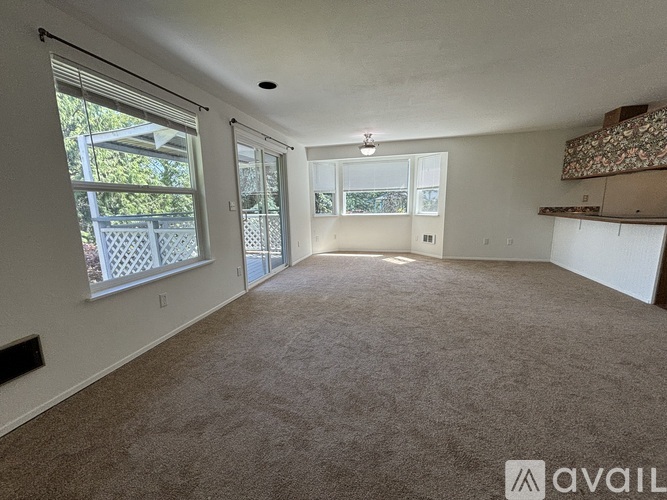 A room with carpeted floor, two windows, and a door leading to a balcony.